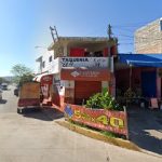 Mecanica En General El Pollo