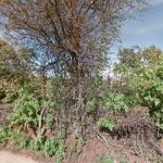Taller de bicicletas EL JAG?EY  y venta de refacciones