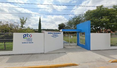 Gto Leona Vicariofoto
