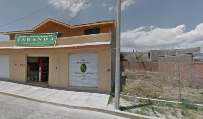 IECA Plantel TARANDACUAOfoto 