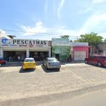 Transportes Solo
