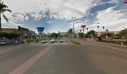 Polarizado De Autosfoto 
