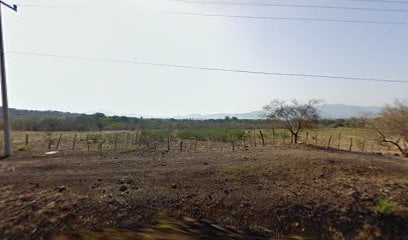 EMPAQUE CUTZAMALA S.A. DE C.V.foto 
