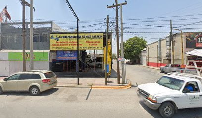 Suspensiones Gomez Palaciofoto 