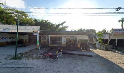 Servicio Montielfoto