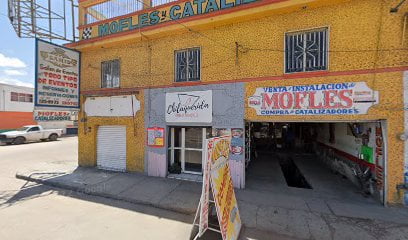 Mofles Canelasfoto 