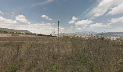 SERVICIO DE MUELLES “GUTIERREZ “foto 