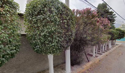 Servicio Mecánico Automotriz P.M.Hfoto 