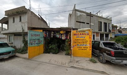 Mecanico Muñozfoto 