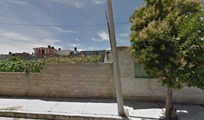 Servicio de Suspensiones FLORES ALDUCINfoto