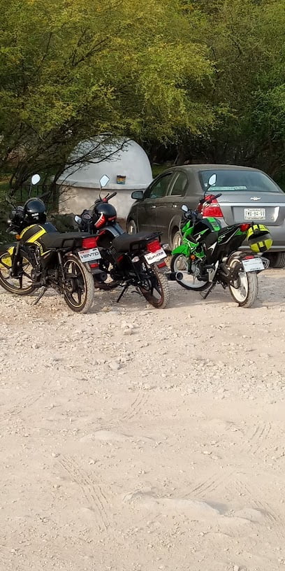 POLO MOTOSfoto
