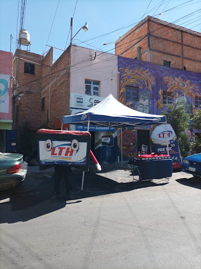 Lth Cachorrofoto 