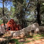 Bosque El Manto  ⭐ ⭐ ⭐ ⭐ ⭐