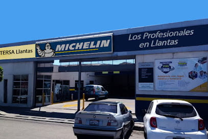 TERSA Llantas Rosaritofoto 