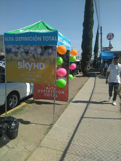 SKY Y VETVfoto 