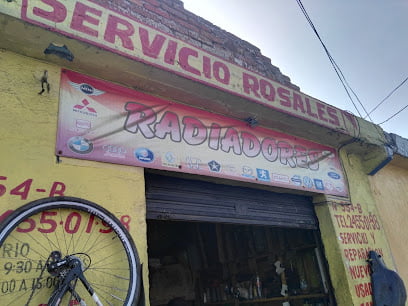 Servicio Rosalesfoto 