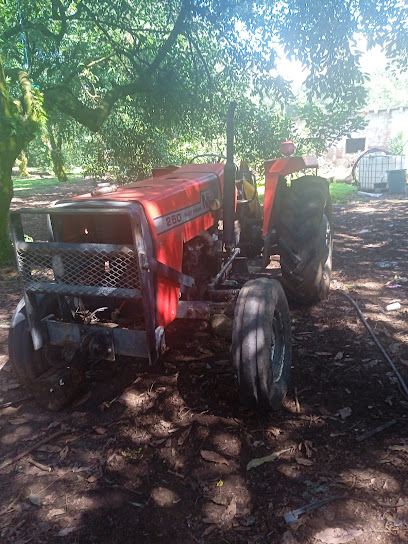 Servicio mecánico agricolafoto 