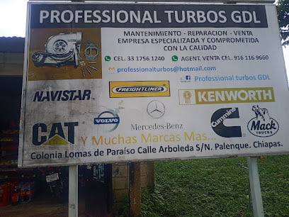 Professional Turbos Gdl Chiapasfoto 