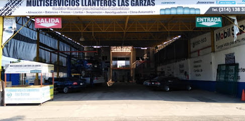 Multiservicios llanteros las garzasfoto 