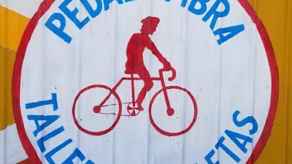 Pedal y Fibra Taller De Bicicletasfoto 