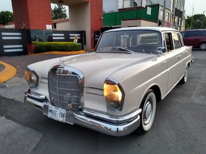 Concepto Alpha Automotrizfoto 