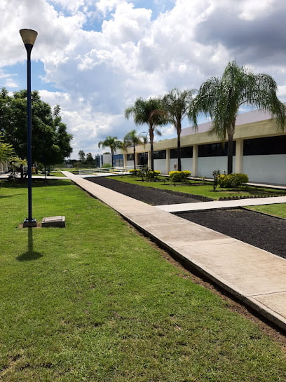 Universidad Tecnológica del Suroeste de Guanajuatofoto 