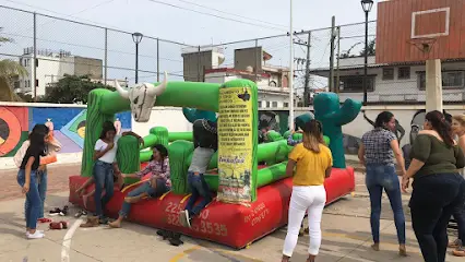 Renta de Toro Mecanico en Puerto Vallartafoto 