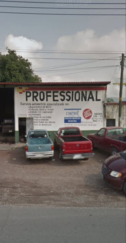 PROFESSIONAL SERVICE Servicio Automotrizfoto