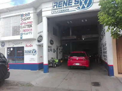 Servicio Especializado Renesfoto 