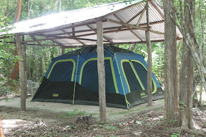 Campamento Yaaxchefoto 