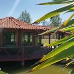 Cabañas La Gloria / Terraza para eventos  ⭐ ⭐ ⭐ ⭐ ⭐