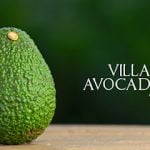 Villa Avocado SA de CV  ⭐ ⭐ ⭐ ⭐ ⭐