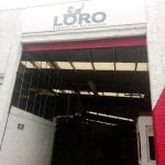 Loro Reparación  ⭐ ⭐ ⭐ ⭐