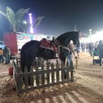 Feria de Arandas  ⭐ ⭐ ⭐ ⭐ ⭐