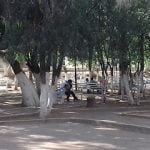 Parque Municipal Romita GTO  ⭐ ⭐ ⭐ ⭐
