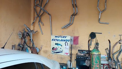 Mofles el triunfofoto 