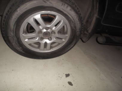 Autoimagen Irapuatofoto 