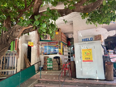 Súper Palomafoto 