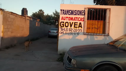 Goveafoto