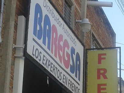 Distribuidor Autorizado Baregsafoto 